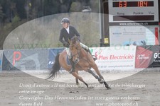 ref. photo 3141501