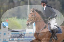ref. photo 3141502