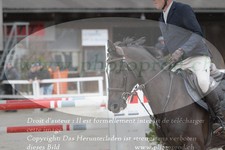 ref. photo 3141504