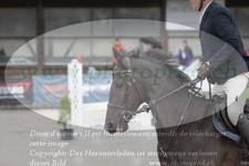 ref. photo 3141507