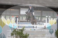 ref. photo 3141511
