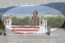 ref. photo 3141520