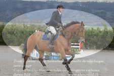 ref. photo 3141521