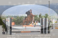 ref. photo 3141524