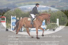 ref. photo 3141527