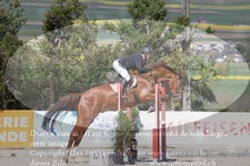 ref. photo 3141529