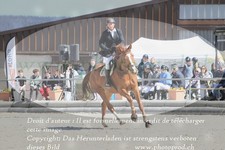 ref. photo 3141531