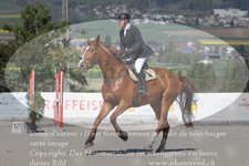 ref. photo 3141535
