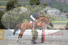 ref. photo 3141536