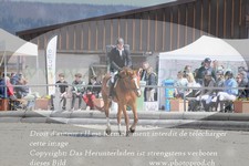 ref. photo 3141537