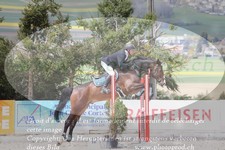 ref. photo 3141543