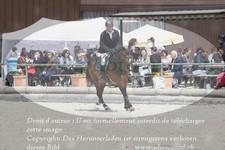 ref. photo 3141544