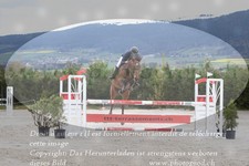 ref. photo 3141563