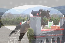ref. photo 3141572
