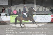 ref. photo 3141577