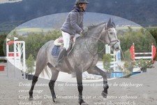 ref. photo 3141603