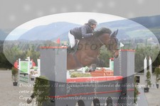 ref. photo 3141612