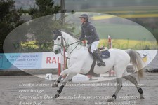 ref. photo 3141618