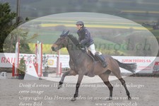 ref. photo 3141624