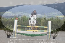 ref. photo 3141630