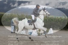 ref. photo 3141631