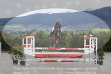 ref. photo 3141635
