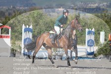 ref. photo 3141642