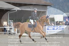 ref. photo 3141655