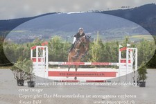 ref. photo 3141665
