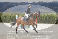 ref. photo 3141666