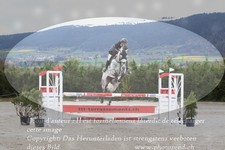ref. photo 3141674