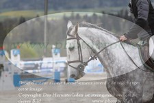 ref. photo 3141682