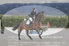 ref. photo 3141692