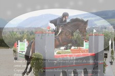 ref. photo 3141698