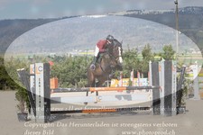 ref. photo 3141699