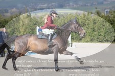 ref. photo 3141702