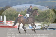 ref. photo 3141709