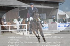 ref. photo 3141711