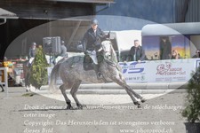 ref. photo 3141717