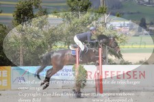 ref. photo 3141729
