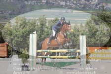 ref. photo 3141738