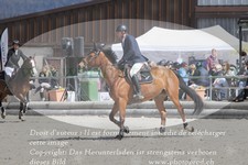 ref. photo 3141741