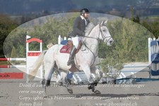 ref. photo 3141744
