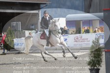 ref. photo 3141746