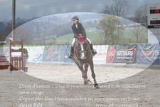 ref. photo 3141753