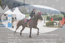 ref. photo 3141756