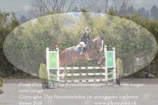 ref. photo 3141761