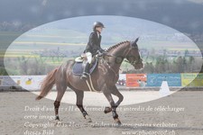 ref. photo 3141763