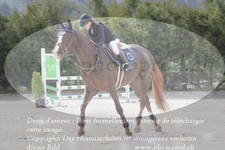 ref. photo 3141766