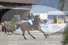ref. photo 3141780